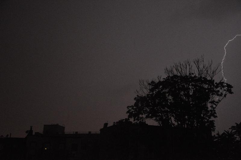 _DSC0988.JPG