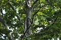 _DSC0920