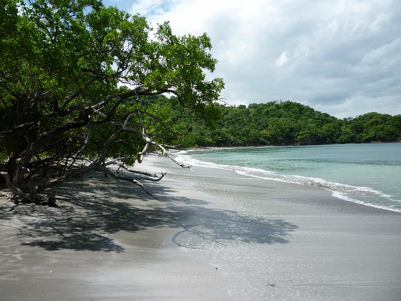 P1000397.JPG