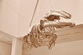 _DSC0853