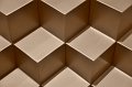 _DSC0881