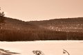 _DSC0930