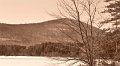 _DSC0932